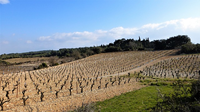 leadgeneration agrotech